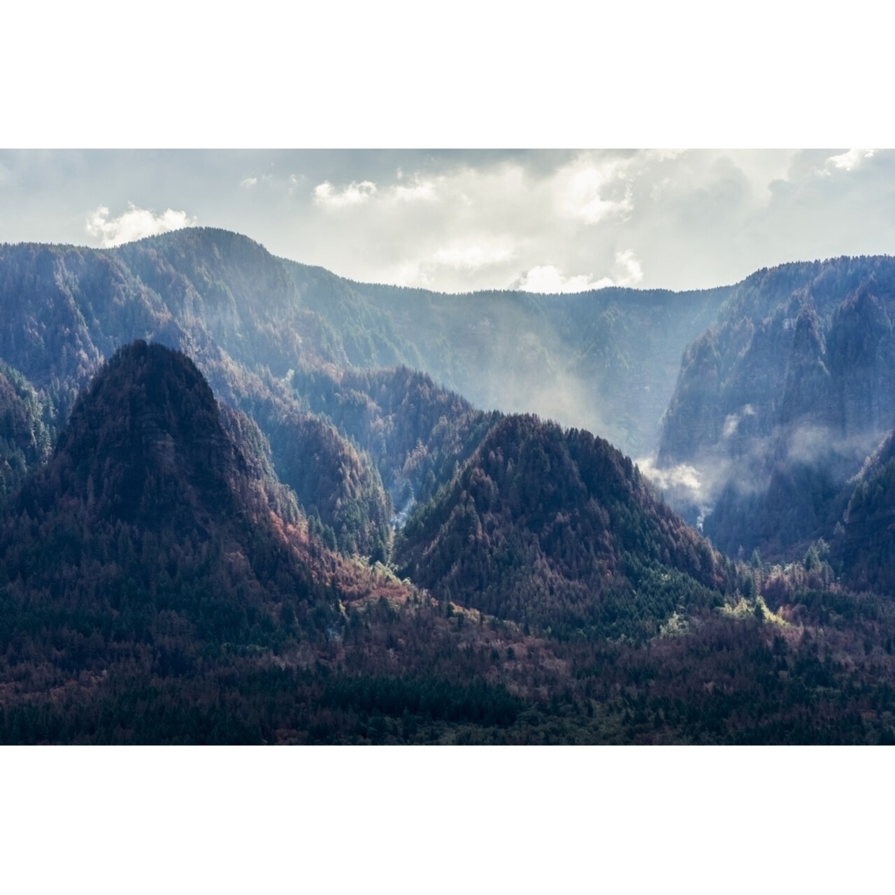 Posterazzi Hot spots smoke long after a wildfire in the Columbia Gorge ; Warrendale Oregon United States of America by Robert L.